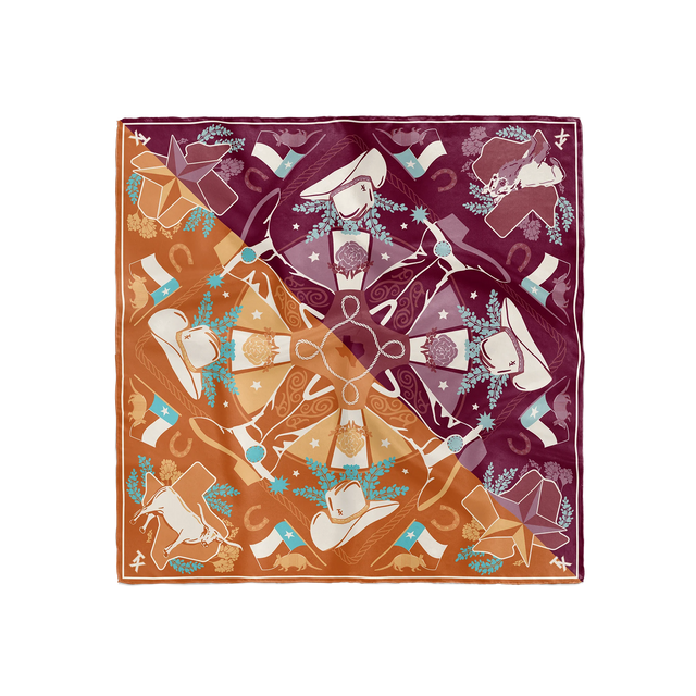 Austin v. College Station House Divided Gameday Scarf