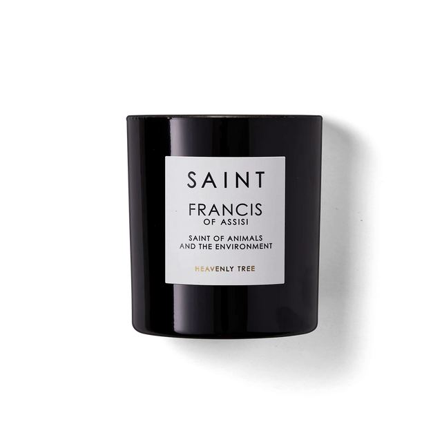 Saint Francis of Assisi- Saint of Animals