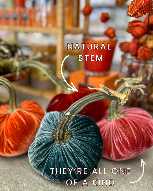 10" Sea Silk Velvet Pumpkin
