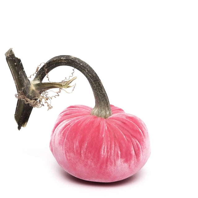 5" Bubblegum Silk Velvet Pumpkin