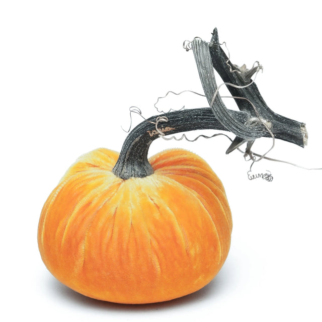 5" Carrot Silk Velvet Pumpkin