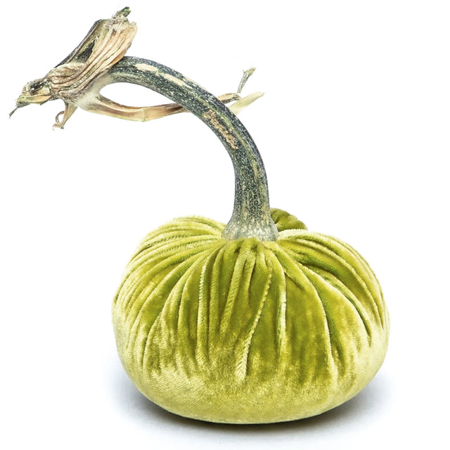 4" & 5" Chartreuse Silk Velvet Pumpkin