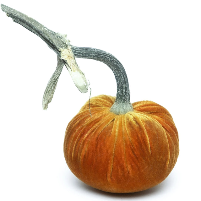 5" D'or Silk Velvet Pumpkin