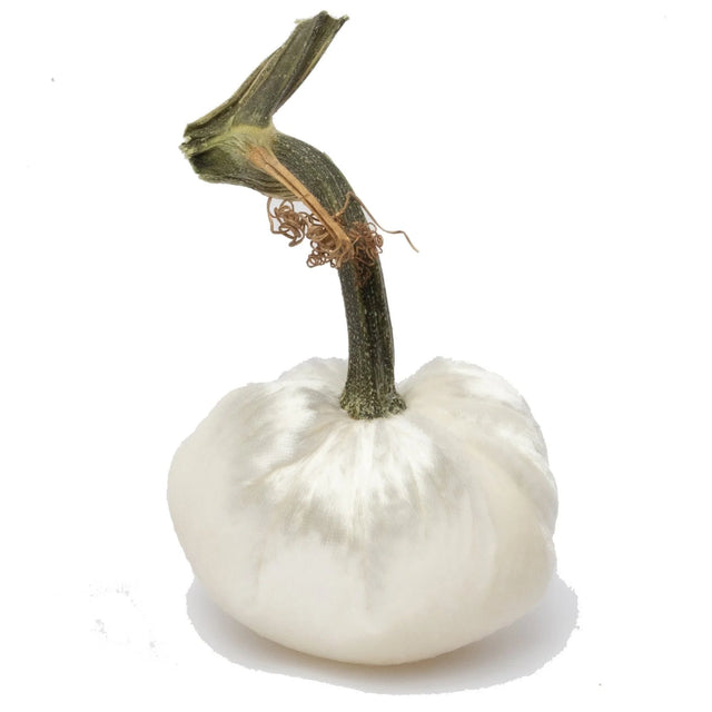 5" White Panne Velvet Pumpkin