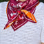 Austin v. College Station House Divided Gameday Scarf