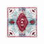 Arkansas Razorbacks Gameday Scarf