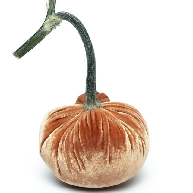 4" & 5" Spice Velvet Pumpkin